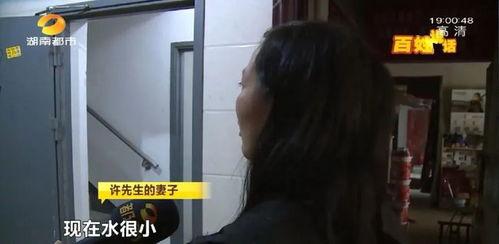 国产超嫩在免费线视频,免费线视频中的青春魅力展现