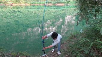 国产小黄竿测评视频大全,性能解析与使用体验汇总