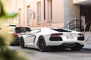 大牛国产照片高清视频,大牛摄影作品深度解析